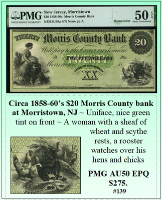 Circa 1858-1860's $20 Morris County Bank at Morristown, NJ #139