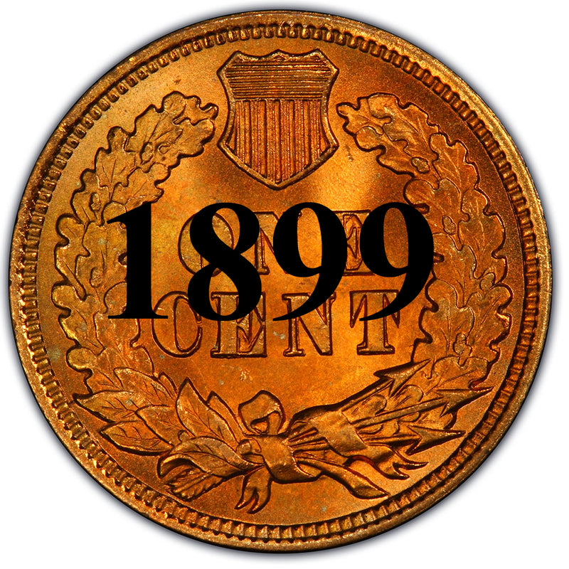 1899 Indian Head Cent | Palm Island