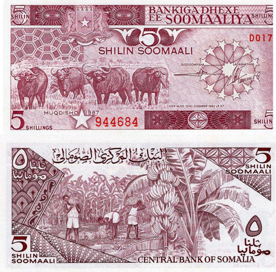 1987 Somalia 5 Shillings 