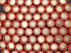 ESTATE SALE ~ Old US Silver Dimes On End Wheat Penny Lincoln Cent Roll ~ Vintage Coins Set Collection