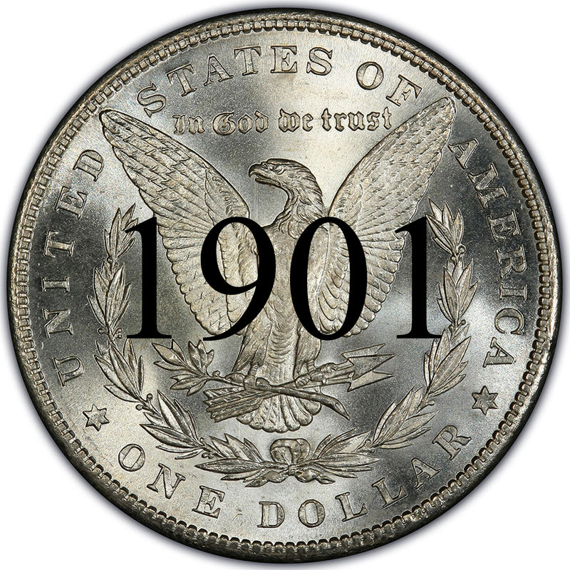 1901 Morgan Silver Dollar | Palm Island