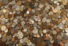 ESTATE LOT ~ Silver Coins Old Collection Silver Bullion US 90% ~ Own A Part of this Collection
